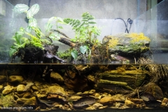 Stream_in_northeastern_Yilan_Taiwan_1-1024x675 Stream_in_northeastern_Yilan_Taiwan_1-1024x675