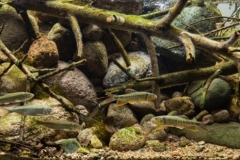 Stream_of_Mount_Lao_after_a_rain_in_summer_Qingdao_China_1-1024x310 Stream_of_Mount_Lao_after_a_rain_in_summer_Qingdao_China_1-1024x310