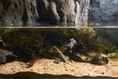 The_Kulismajoki_River_at_the_bottom_of_the_Jukankoski_Falls_in_the_Republic_of_Karelia_Russia_1-1024x273 The_Kulismajoki_River_at_the_bottom_of_the_Jukankoski_Falls_in_the_Republic_of_Karelia_Russia_1-1024x273