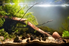 The_Peipia_River_Russia_Leningrad_region_1-1024x435 The_Peipia_River_Russia_Leningrad_region_1-1024x435