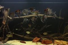 The_mouth_of_the_Orinoco_River_1-1024x441 The_mouth_of_the_Orinoco_River_1-1024x441