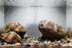 Tributary_of_the_Taehwa_River_Ulsan_metropolitan_city_Republic_of_Korea_1-1024x599 Tributary_of_the_Taehwa_River_Ulsan_metropolitan_city_Republic_of_Korea_1-1024x599