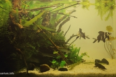 Upstream_of_Yangtze_river_between_province_of_Sichuan_and-Hubei_China_1-1024x542 Upstream_of_Yangtze_river_between_province_of_Sichuan_and-Hubei_China_1-1024x542