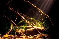 Мountain_stream_in_the_south_of_Guangdong_province_China_1-1024x912