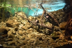 Banks_of_the_Zena_stream_in_the_Gessi_Regional_Park_San_Lazzaro_di_Savena_Italy_1-1-1024x431