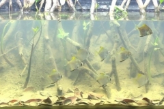 Downstream_of_Tamsui_River_basin_Tamsui_district_New_Taipei_City_Taiwan_1-1024x365