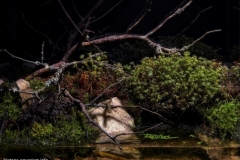 Drying_roadside_drain_Vyakhtelevo_village_Gatchina_district_Leningrad_region_Russia_1-1024x735