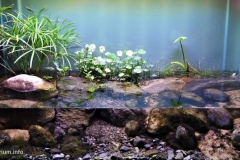 El_Coyote_River_ecologic_park_Charco_Azul_Nuevo_Leon_Mexico_1-1024x508