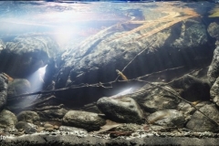 Fast_flowing_stream_above_waterfall_Lagu_Lagu_creek_Leyte_island_Philippines_1-1024x433