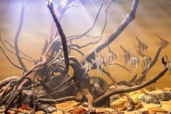 Flooded_Essequibo_River_Coast_in_Iwokrama_Nature_Reserve_Guyana_1-1024x364