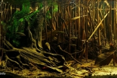 Flooded_area_on_the_Krezniczanka_river_near_Belzyce_Poland_1-1024x452