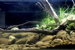 Laonong_River_Kaohsiung_Taiwan_1-1024x349