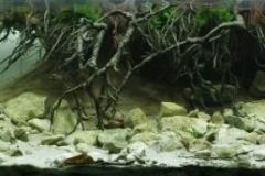 Meanders_of_a_forest_stream_a_tributary_of_the_Chodelka_River_near_Belzyce_Poland_1-1024x172