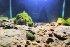 Oka_River_stony_margin_in_the_Kolomna_Moscow_region_Russia_1-1024x768