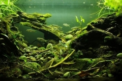 Rahtawu_Kudus_River_in_the_dry_season_of_Central_Java_Indonesia_1-1024x383