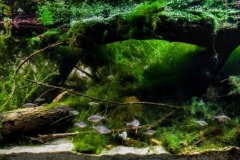 River_in_the_Yangkou_area_downstream_of_the_Mount_Lao_Qingdao_China_1-1024x404