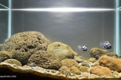 Rocky_areas_of_the_Metapa_river_in_Escuintla_Guatemala_1-1024x560