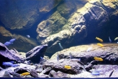 Rocky_shores_of_Gome_Malawi_1-1024x361