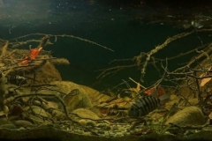 San_Juan_Pacific_coast_of_Nicaragua_Lake_1-1024x336