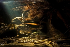 Sandy_shallow_part_at_the_junction_of_the_Kalchik_and_Kalmius_rivers_Mariupol_Ukraine_1-1024x466