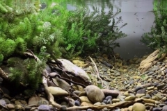 Shallow_part_of_the_marginal_zone_of_the_Abakan_channel_of_the_Yenisei_River_Krasnoyarsk_Russia_1-1024x312