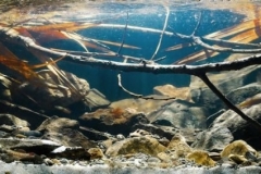 Shallow_stream_in_Lotus_Mountain_Guangzhou_China_1-1024x283