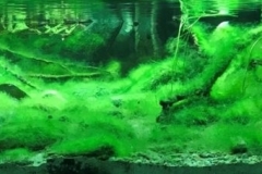 Springs_at_the_North_side_of_Mount_Tai_of_China_1-1024x227