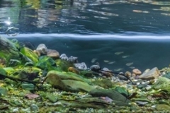 Taizi_River_shallow_riverbank_area_of_Benxi_City_Liaoning_province_China_1-1024x249