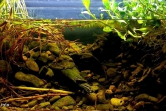 The_outskirts_of_the_river_Progo_in_the_dry_season_Central_Java_Indonesia_1-1024x460