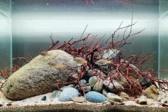 Tributaries_of_the_Nakdong_River_Busan_South_Korea_1-1024x572