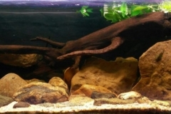 Tributary_of_Huong_river_Thua_Thien_Hue_province_Vietnam_1-1024x349