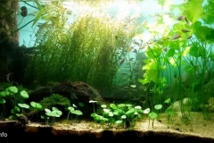 Unnamed_spring_close_to_lake_Inle_Myanmar_1-1024x440