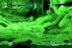 The-Springs-at-the-North-Side-of-Mount-Tai-in-Shandong-China-1-1024x225