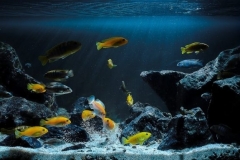 The-northeastern-part-of-Lake-Malawi-Tanzania-in-the-waters-between-Lundo-Island-1-1024x383