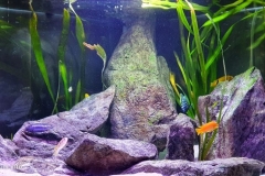 The-sandy-areas-towards-the-rock-face-1-1024x492