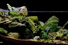 Tidal-pool-near-the-inlet-of-Yantai-Shandong-1-1024x446