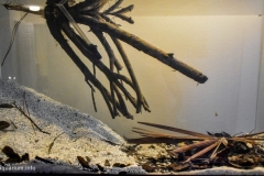 Under-the-Oaks-along-the-St.-Marks-River-Natural-Bridge-1-1024x562