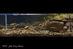 BAM_RathburnRun_Ohio_USA_1_Anderson