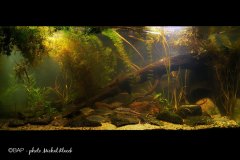 BAM_Vyrovka-River_Písty_Czech5_Michal-Klacek