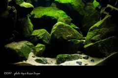 Kigoma_Lake-Tanganyika1_URDoğan