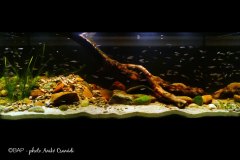 Mobile_River_Alabama_USA1_ACsanadi