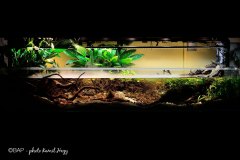 bam-las-torres-itenez-bolivia1-kamilhazy