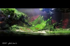 bam_Corrego-do-Veado_Taquari-river1_Nan-Li