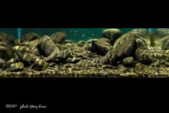 bam_Fuwen-river_Emei-River1_China_Yang-Erwa