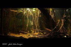 bam_Kalchik-River1-Ucraine_ABereznev