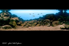 bam_Kapumfi_Tanganyika_Zambia1_FOzdemir-