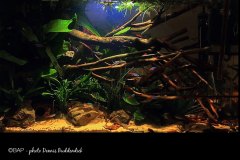 bam_Rio-Jufaris_Brazil1_DBuddendiek