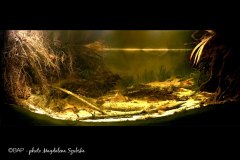 bam_Rio-Poranga_Rio-Negro1_MSzubska