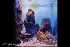 bam_capekaku_lagotanganyika_zambia_africa_2_marcocunha