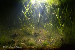 bam_isiklilake_denizli_turkey_1_MYilmaz